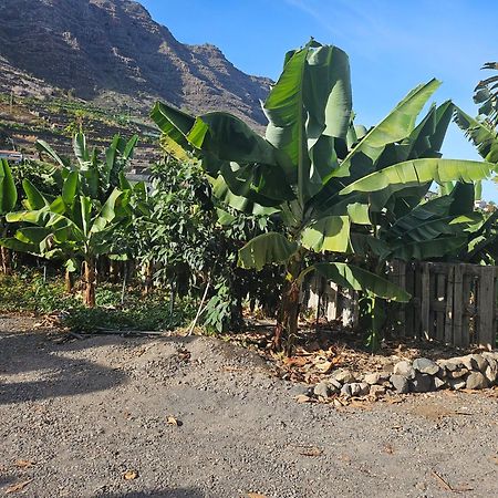 Casa Erika Villa Hermigua Eksteriør bilde