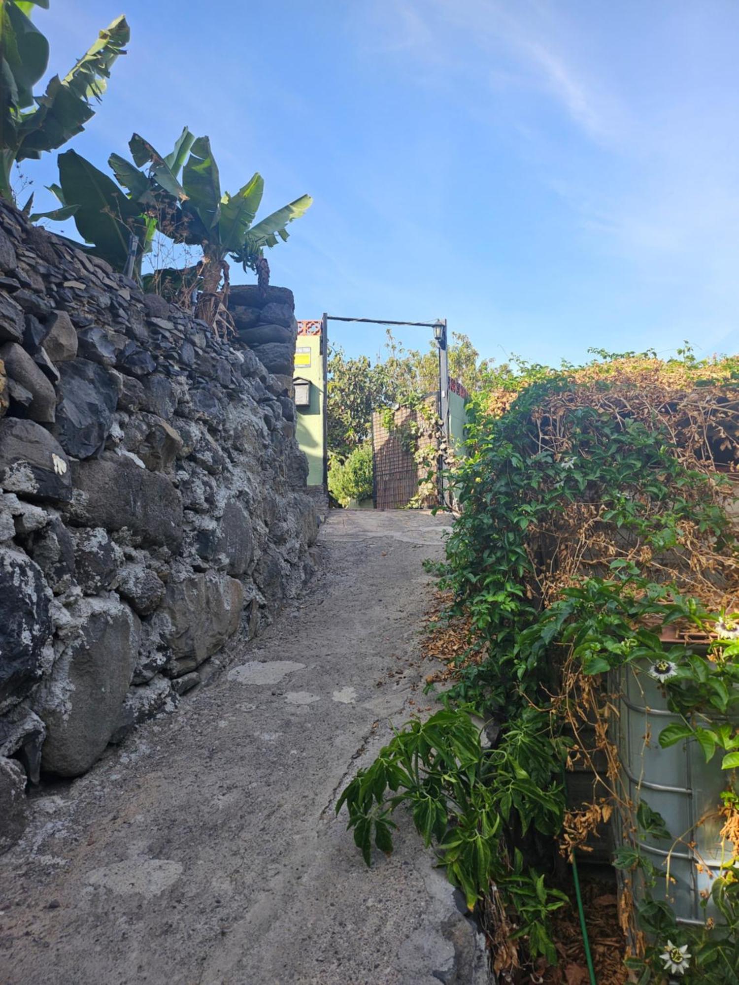 Casa Erika Villa Hermigua Eksteriør bilde