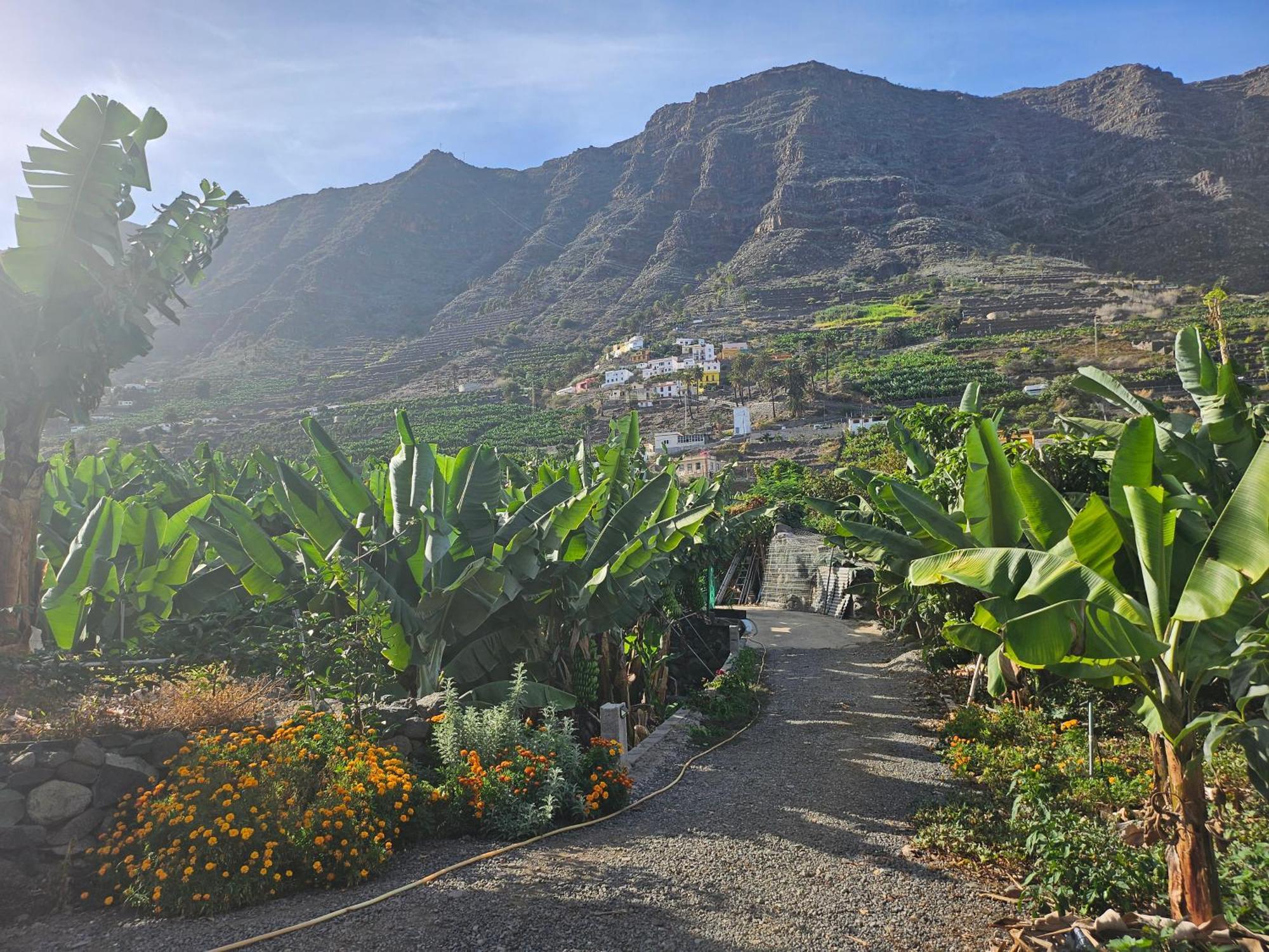 Casa Erika Villa Hermigua Eksteriør bilde