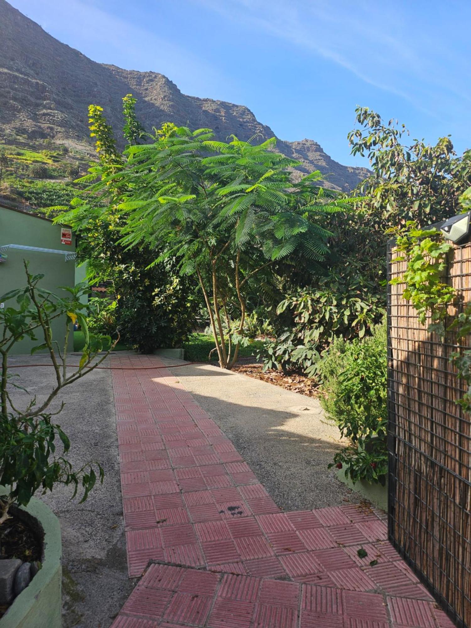 Casa Erika Villa Hermigua Eksteriør bilde